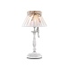 Настольный светильник Maytoni Bird ARM013-11-W - фото