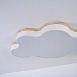 Потолочный Светильник Cloud Eco D83 White Imperiumloft 189502-26 - фото