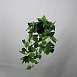 Подвесной Светильник Palma Wall Lamp Шар + Вазон Imperiumloft 168489-22 - фото