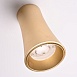 Потолочный Светильник Zyppa Gold H15 Imperiumloft 314098-26 - фото