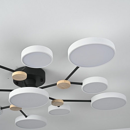 Потолочная Люстра Gamma D102 White Imperiumloft 223764-23 - фото