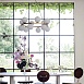 Подвесная Люстра Bubbles Bulbs Ceci Thompson Imperiumloft 102007-26 - фото
