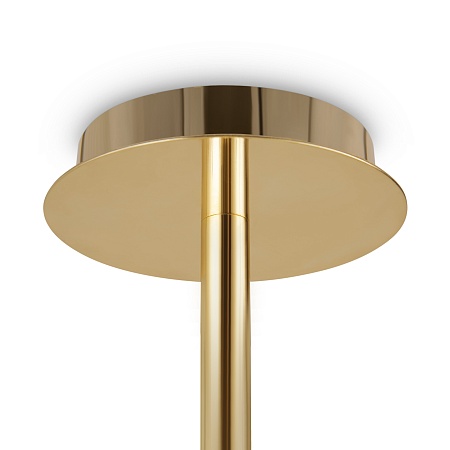 Потолочный светильник Freya Mineral FR1010CL-06G - фото