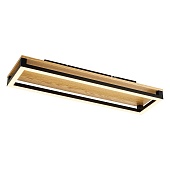 Потолочный светильник F-Promo 4434-2C