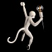 10314W/A Настенный светильник LOFT IT Monkey - фото