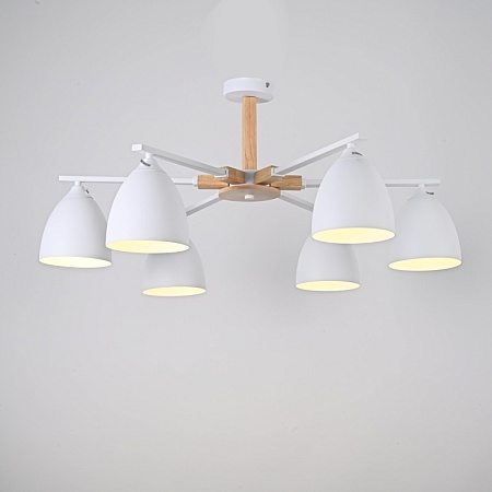 Потолочная Люстра Noa 6 White Imperiumloft Imperiumloft 183469-26 - фото