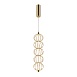Подвесной светильник Maytoni Golden Cage MOD216PL-L10G3K - фото