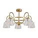 Люстра Freya FR5522PL-05BS1 - фото