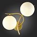 Светильник настенный Золотистый/Белый G9 LED 2*5W SLE2210-201-02 - фото