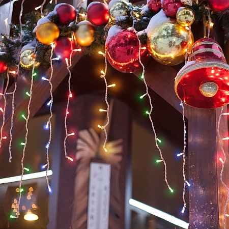 Гирлянда Eurosvet 100-001 - фото