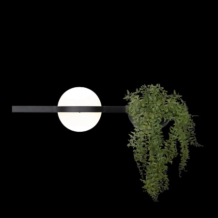 10121W/A Настенный светильник LOFT IT Jardin - фото