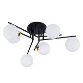 Потолочная люстра Arte Lamp GEMINI A2243PL-6BK