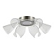 Светильник потолочный ST-Luce Никель/Прозрачный LED 1*20W 4000K SL6235.102.20 - фото