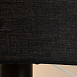 Торшер Arte Lamp COMBO A2070PN-1BK - фото