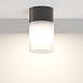 Потолочный светильник Outdoor Willis O418CL-01B - фото