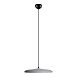 10119 Grey Подвесной светильник LOFT IT Plato - фото