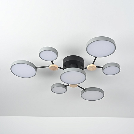 Потолочная Люстра Gamma D88 Grey Imperiumloft 223765-23 - фото