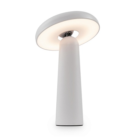 Аккумуляторный светильник Freya FR6109TL-L4W - фото