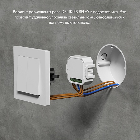 RL1002-SM/1 Двухканальное Wi-Fi реле-выключатель 2 x 1150 Вт / 2 x 100 Вт для LED - фото