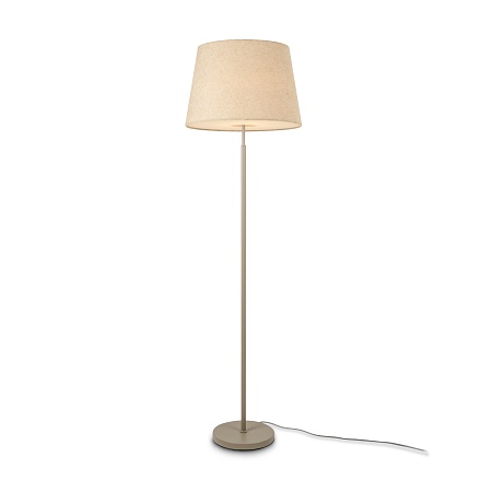 Напольный светильник (торшер) Freya FR2057FL-01BG - фото