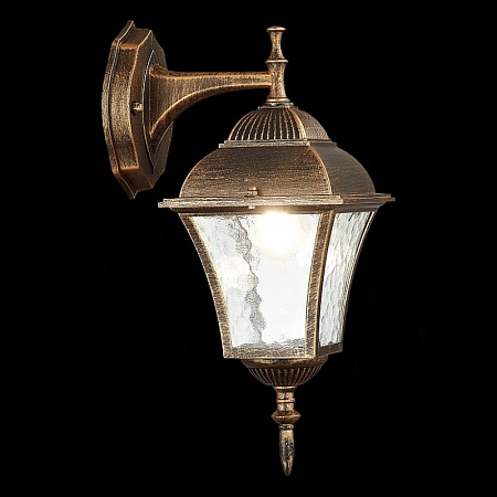 Светильник уличный настенный ST-Luce Бронза/Бронза, Прозрачный E27 1*60W SL082.211.01 - фото