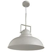 Подвесной светильник Arte Lamp MARTIN A5213SP-1WG