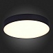 Светильник потолочный Черный LED 1*48W 3000K 4 320Lm Ra>85 120° IP20 D400xH55 185-265V ST606.432.48 - фото