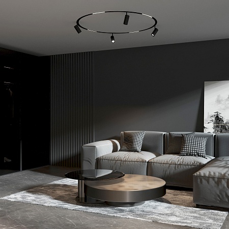 Slim Magnetic Трековый светильник для радиусного шинопровода 12W 4200K Comfi чёрный Ø 800мм 85188/01 Elektrostandard - фото