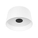 10360L White Потолочный светильник LOFT IT Duo - фото