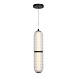 Светильник подвесной ST-Luce черный/прозрачный LED 1*22W 4000K SL6144.403.01 - фото