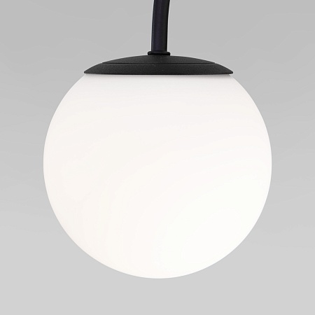 Потолочный светильник Eurosvet 30179/4 черный - фото