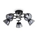 Люстра Freya FR5464CL-05CH - фото