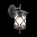 Светильник уличный настенный ST-Luce Черный/Черный, Прозрачный E27 1*60W SL085.411.01 - фото