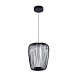 Подвесной светильник Arte Lamp FLARE A3528SP-12BK - фото