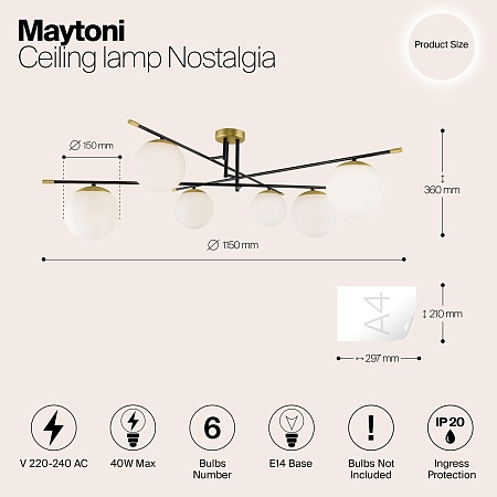 Потолочный светильник Maytoni MOD048CL-06G - фото