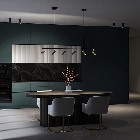 Потолочный светильник Eurosvet 20252/6 LED черный/латунь - фото