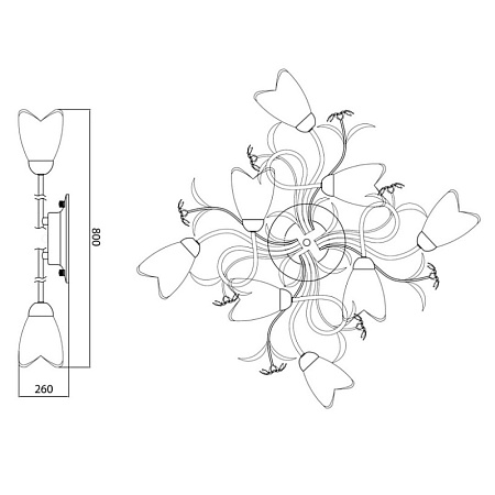 Люстра потолочная MW-Light Аида 323013708 - фото