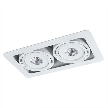 Карданный светильник Arte Lamp STUDIO A3007PL-2WH - фото