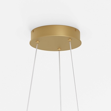 Подвесной светильник Maytoni Rim MOD058PL-L32BSK - фото