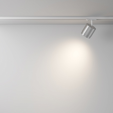 Трековый светильник Technical Polar TR088-1-GX53-S - фото