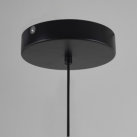Подвесной Светильник Suspension Cercle Et Trait – Graphite Satine L170 Imperiumloft 202723-23 - фото