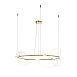 Подвесной светильник Maytoni Oasis MOD289PL-L53BS3K - фото