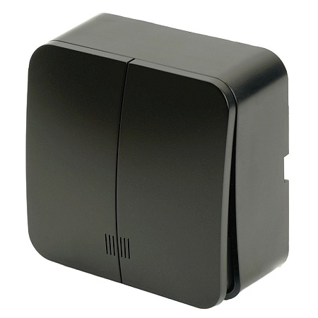 Выключатель открытой установки 2-клавишный с индикатором, STEKKER, 250В, 10А, IP20, серия София, черный матовый, MSW10-21-05 - фото