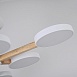 Потолочный Светильник Turna L6 White Imperiumloft 141108-26 - фото