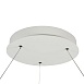 Подвесной светильник Maytoni Nola MOD877PL-L60W - фото