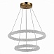 Люстра подвесная ST-Luce Золотистый/Золотистый LED 2*28W 3000 - 6500K SL6110.203.02 - фото