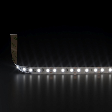 Светодиодная лента 12 В 9,6 Вт/м 120 Led/м 2835 IP20, дневной белый 4200К, 5 м Лента светодиодная 12V 9,6W 120Led 2835 IP20 дневной белый, 5м Elektrostandard - фото