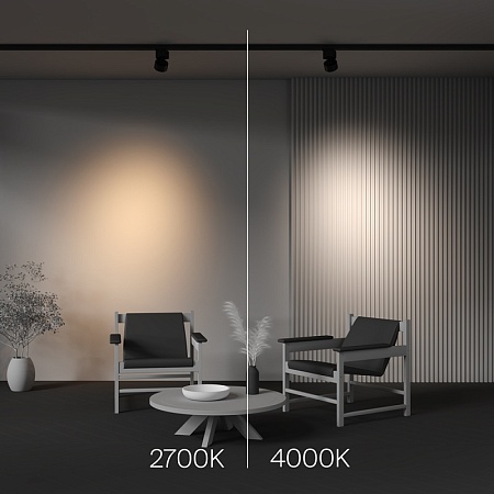 Трековый светильник Technical Alfa TR199-3-15W4K-M-B - фото