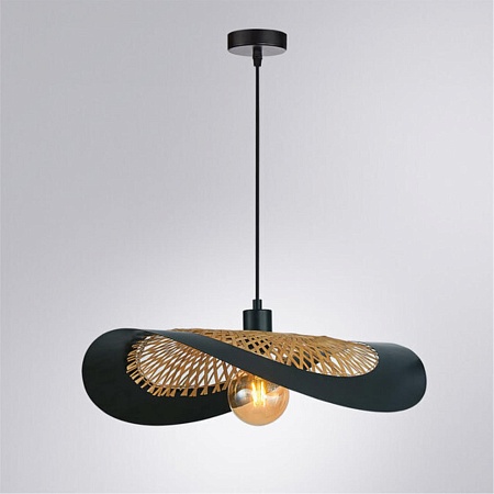 Подвесной светильник Arte Lamp WOODSTOCK A7059SP-1BK - фото
