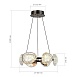 Светильник подвесной ST-Luce черный/ золотистый / прозрачный LED 1*48W 4000K SL6018.203.48 - фото